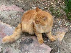 -北京西山国家森林公园