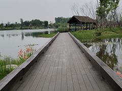 -白鹭湾湿地公园