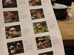 -蘑界·野生菌火锅(深业上城店)