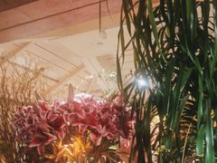 -春暖花开(西溪店)