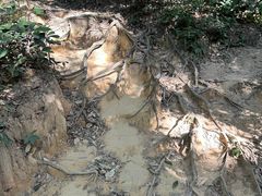 -洛阳白云山景区