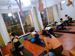 -Yvon yoga 瑜伽·精准体态管理中心