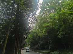 -广州市白云山风景名胜区