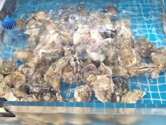 -必点蒸汽海鲜(止锚湾店)