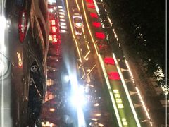 -甘家界牌柠檬鸭(青山店)