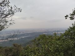 -紫金山山顶公园