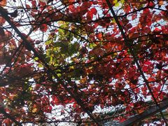 -伊隆斋(什刹海店)