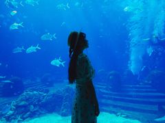 -亚特兰蒂斯•OSSIANO奥西亚诺海底餐厅