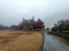 -长广溪湿地公园