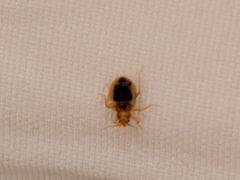 -乐嗨公寓(苏州火车站店)