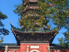 -焦山景区-万佛塔