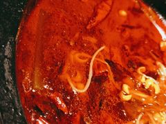 麻辣诱惑-江南厨子(万象天地店)
