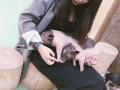 -藦茜花园宠物主题亲子互动体验馆(国顺东路店)