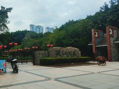 -广州珠江公园