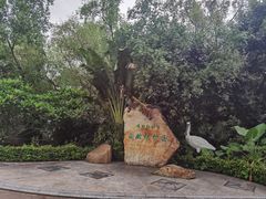 -福田红树林生态公园
