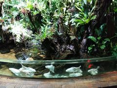 -太平洋海底世界