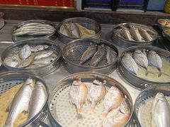 -长平肥姐白粥·海鲜打冷