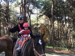 -铁山坪森林公园