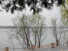 -青龙湖公园