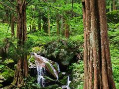 -东天目山风景区