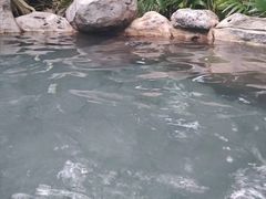-河源客天下-温泉小镇