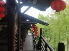 -大唐贡茶院