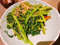 炒通菜-CHINCHIN 青青·泰国料理(万象食家店)