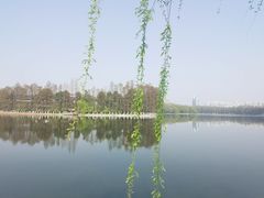 -东湖听涛景区