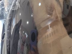 -瑞派长江宠物医院·猫科·外科·24小时夜护(谊城公寓分院)