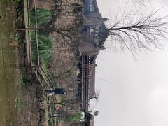 -驿舍·民國老营房院子私房菜(科学会堂店)