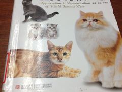 -上海市虹口区图书馆(曲阳分馆)