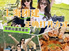 -上海山野camping·户外天幕烧烤·团建拓展营地