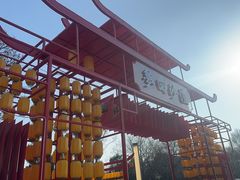 -沙澧河风景区