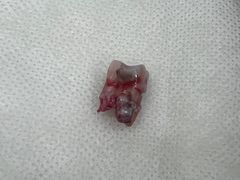 -泰康拜博口腔(凯迪大厦店)