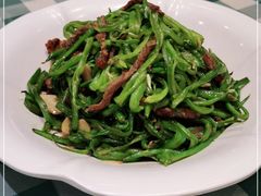 -紫光园·烤鸭·北京菜(劲松店)