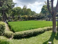 景点-朱家角课植园