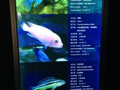 -厦门海底世界