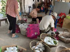 -马陆小张葡萄园农家乐