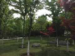 -济南植物园