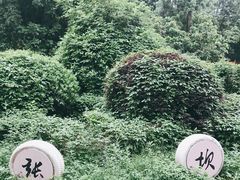 -张坝桂圆林公园