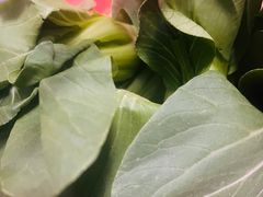 -新发地果蔬社区便民店(百环家园店)