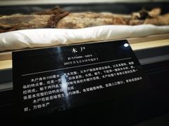 -巴音郭楞蒙古自治州博物馆