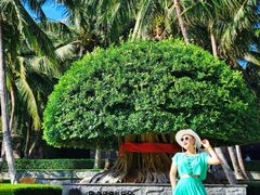 -海南清水湾莱佛士酒店