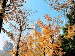 -重庆市江北嘴中央商务区中央公园