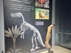 -中华赏石园