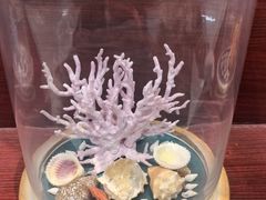 -青岛贝壳博物馆