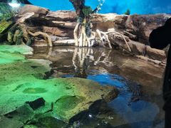 -沙沙哗啦海洋馆(华宇百花谷店)