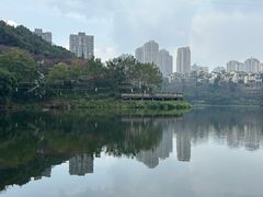-重庆彩云湖湿地公园