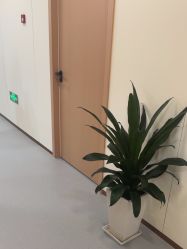 -上海伊莱美医疗美容医院