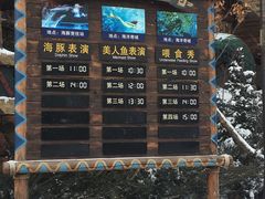 -哈尔滨波塞冬海底世界